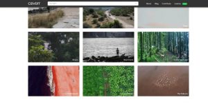 Alle Tools 61 coverr-co-videos-natur-hintergrund