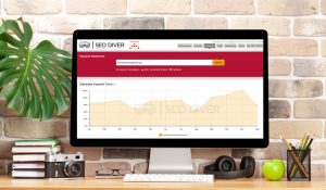 SEO Tools 56 seo_diver_monitor-1